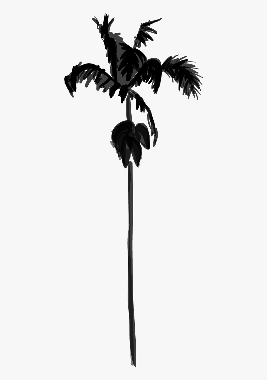 Palm Trees Black & White - Silhouette, HD Png Download