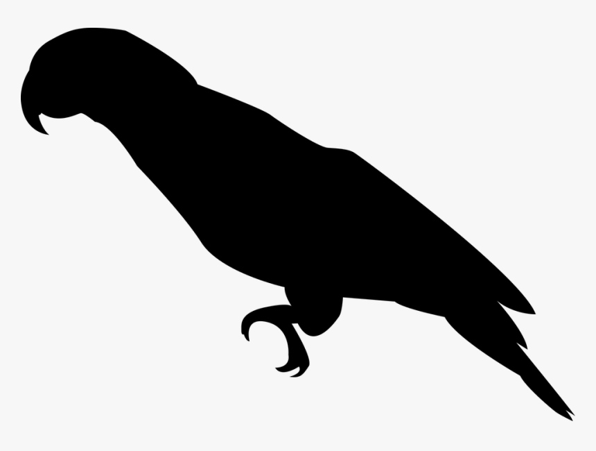 Parrot, Bird, Ara, Feather, Plumage, Silhouette, Black - Parrot Silhouette Transparent, HD Png Download