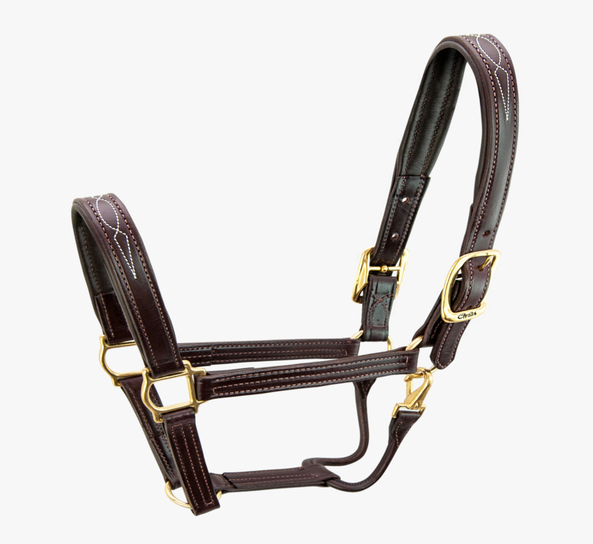 Signature Halter - Horse S5000 - Horse Halter Png, Transparent Png