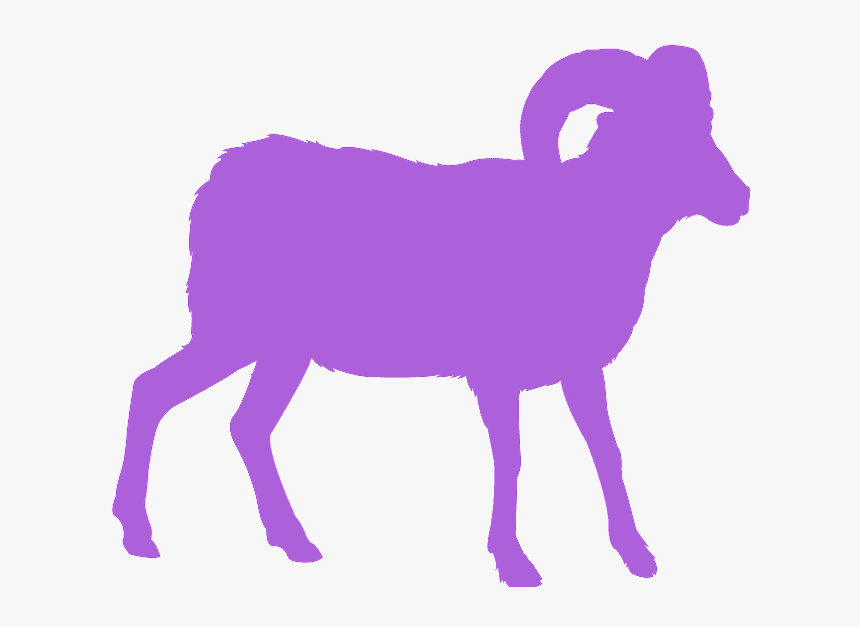 Bighorn, HD Png Download