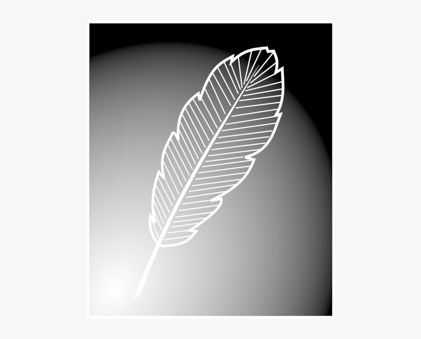 Leaf,monochrome Photography,monochrome - Floating Feather Free, HD Png Download