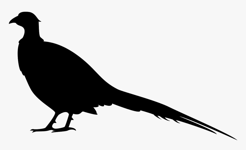 Silhouette Of A Pheasant, HD Png Download