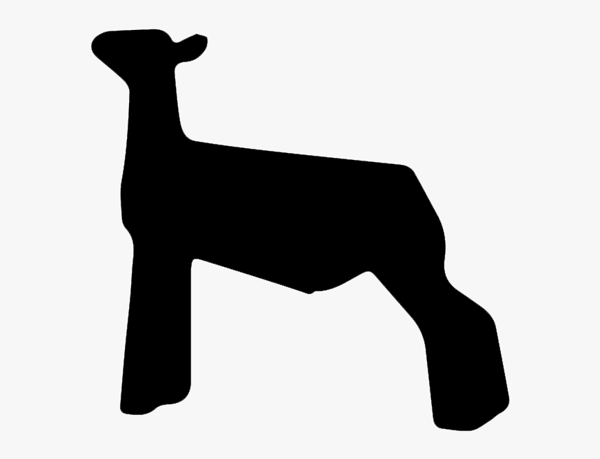 If You Found This Page By Searching For Show Lamb Clip - Show Lamb Svg, HD Png Download