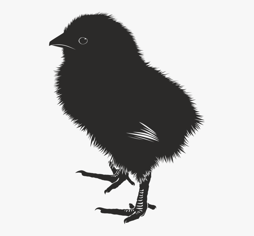 Chick, Animal, Farm, Baby, Silhouette - Baby Chick Silhouette, HD Png Download