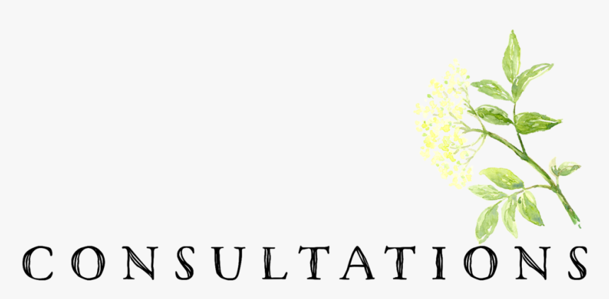 Elder Farm Consultations Appointments - Jasmine, HD Png Download