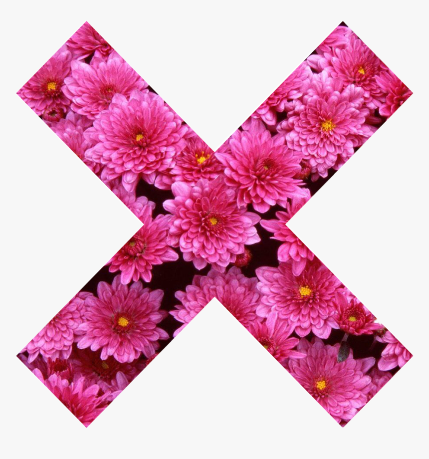 Flowers, HD Png Download