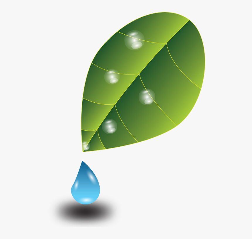 Drop, HD Png Download