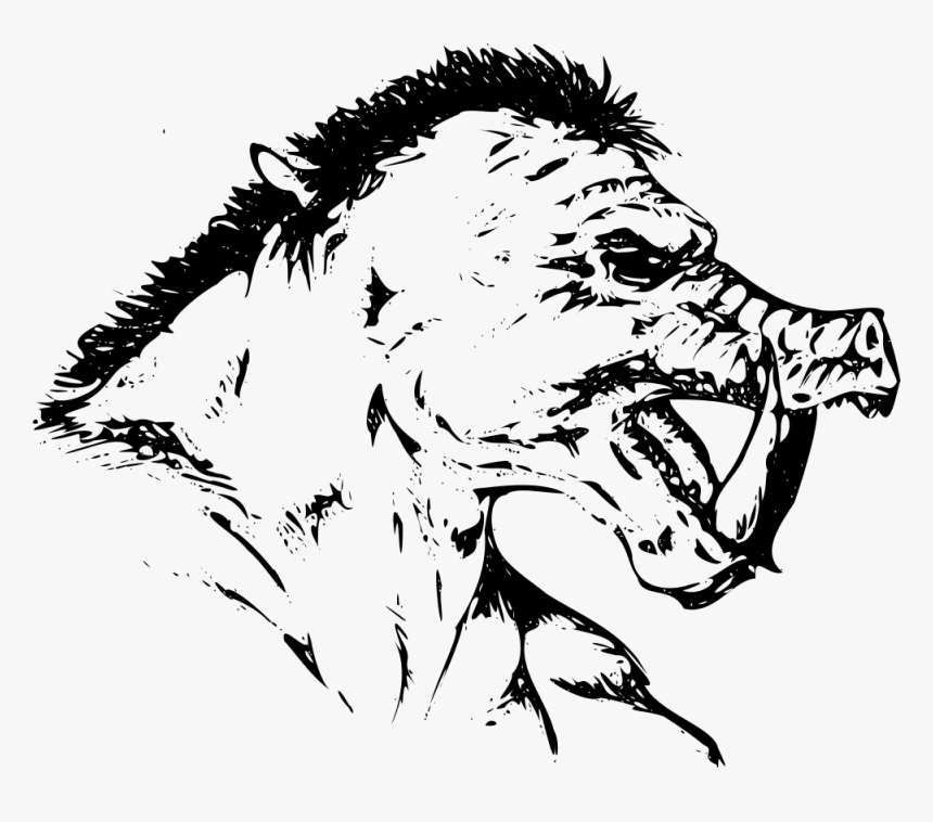 Orc Head - Orc Drawing Free, HD Png Download