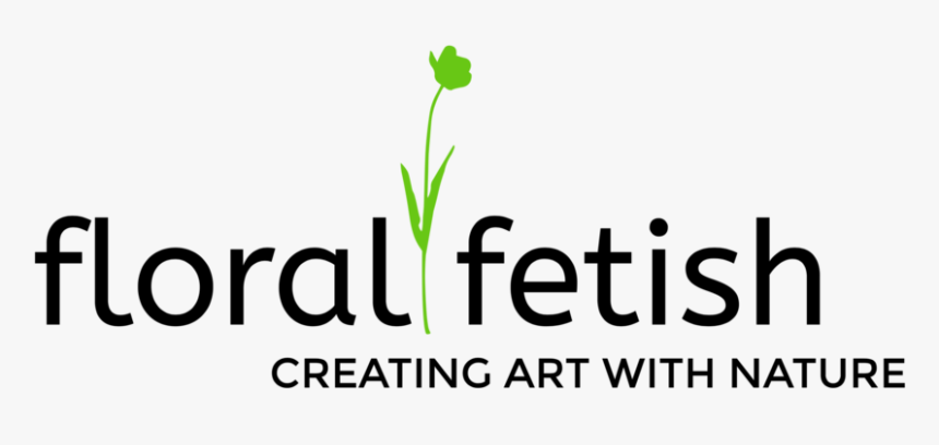 Logo With Color, HD Png Download