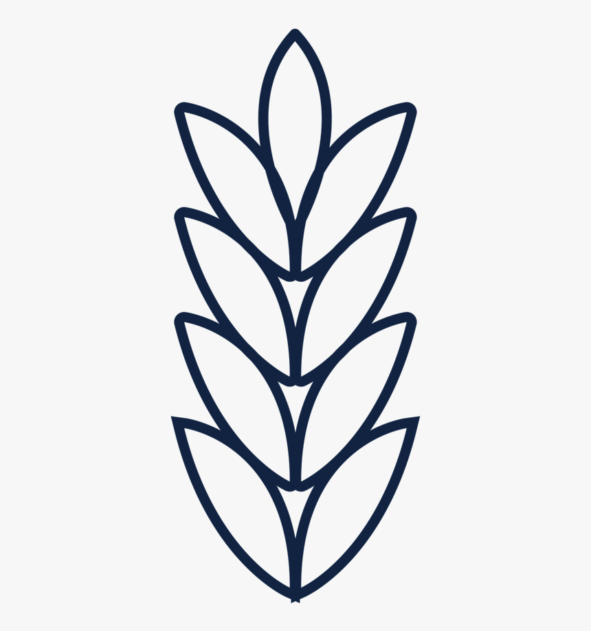 Brand Elements 130619-05 - Line Art, HD Png Download