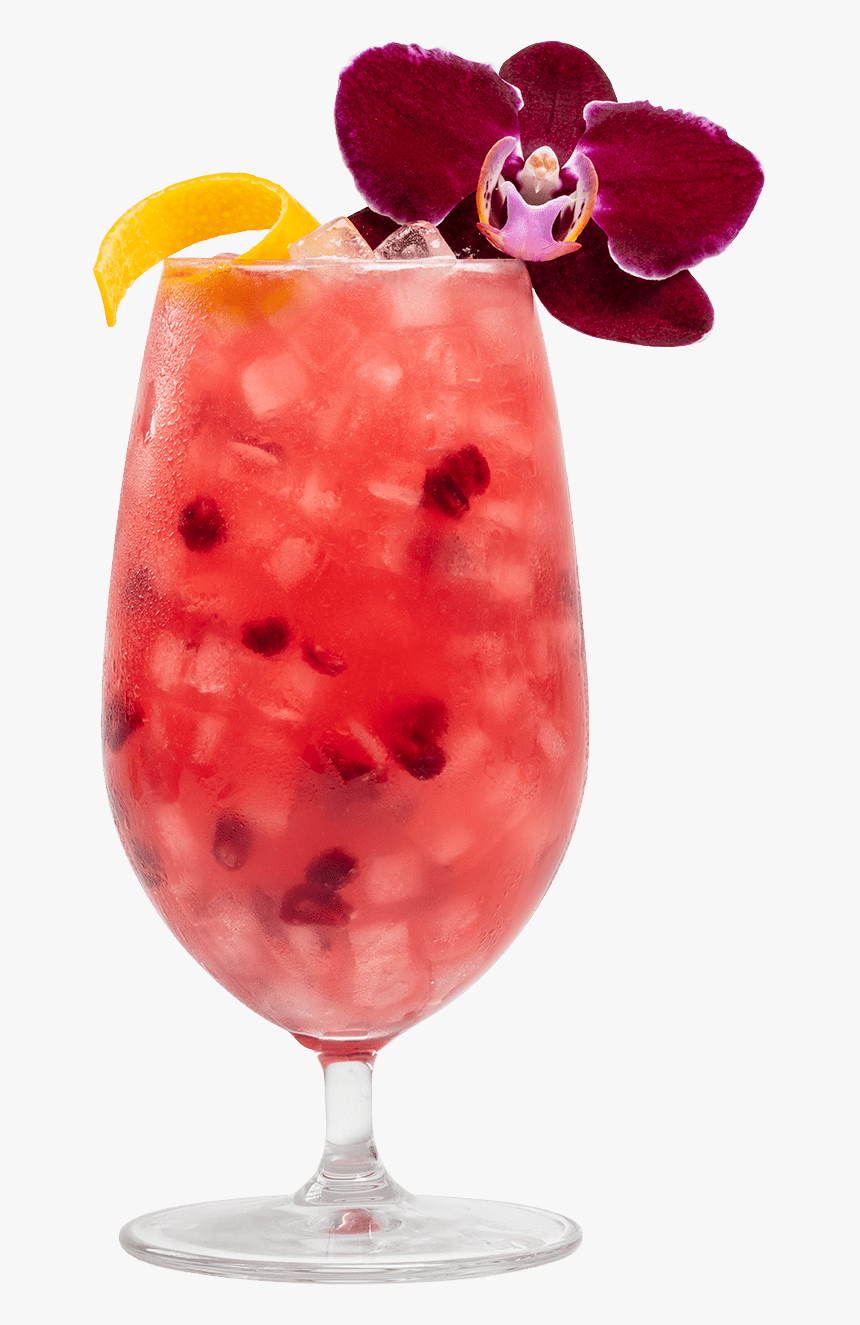 Nirvana - Singapore Sling, HD Png Download