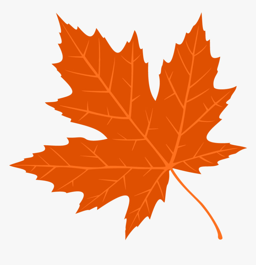 Free Images Autumn Leaves, HD Png Download