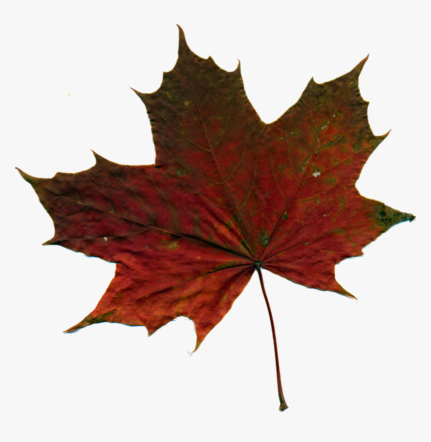 Kashmir Png, Transparent Png