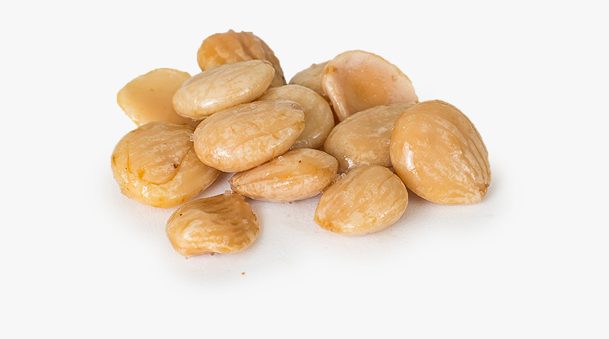 Almond, HD Png Download