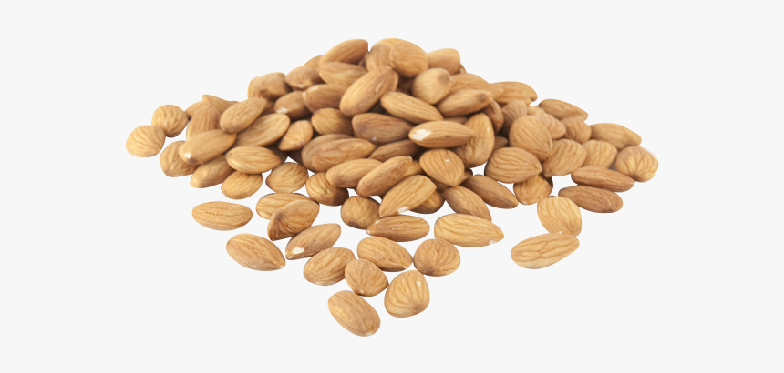 Almonds Natural - Coin, HD Png Download