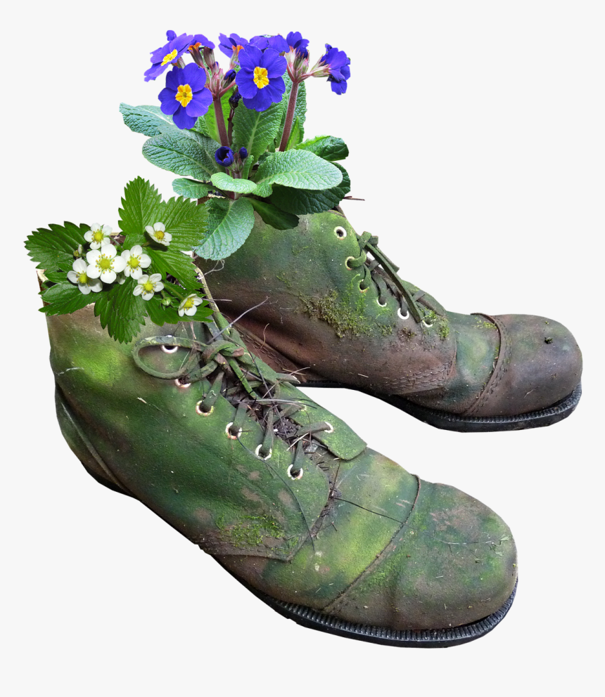 Planter, Flowers, Old Boots, Moss - Old Boots Png, Transparent Png