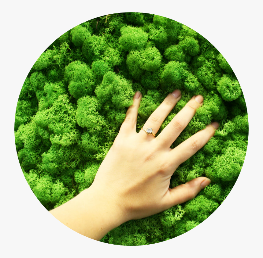 Hand, HD Png Download