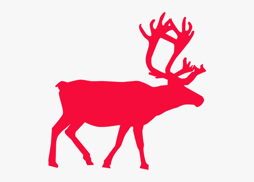 Null - Reindeer Clipart, HD Png Download