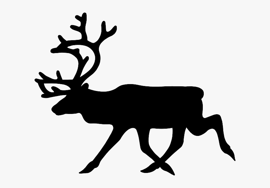 Stag, Moose, Elk, Deer, Animal, Mammal - Black And White Reindeer, HD Png Download