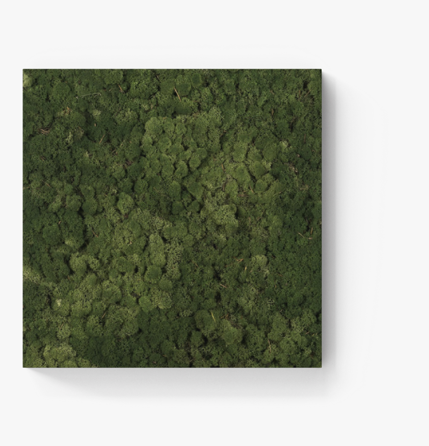 Dockfour Mos, HD Png Download