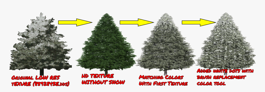 Christmas Tree, HD Png Download