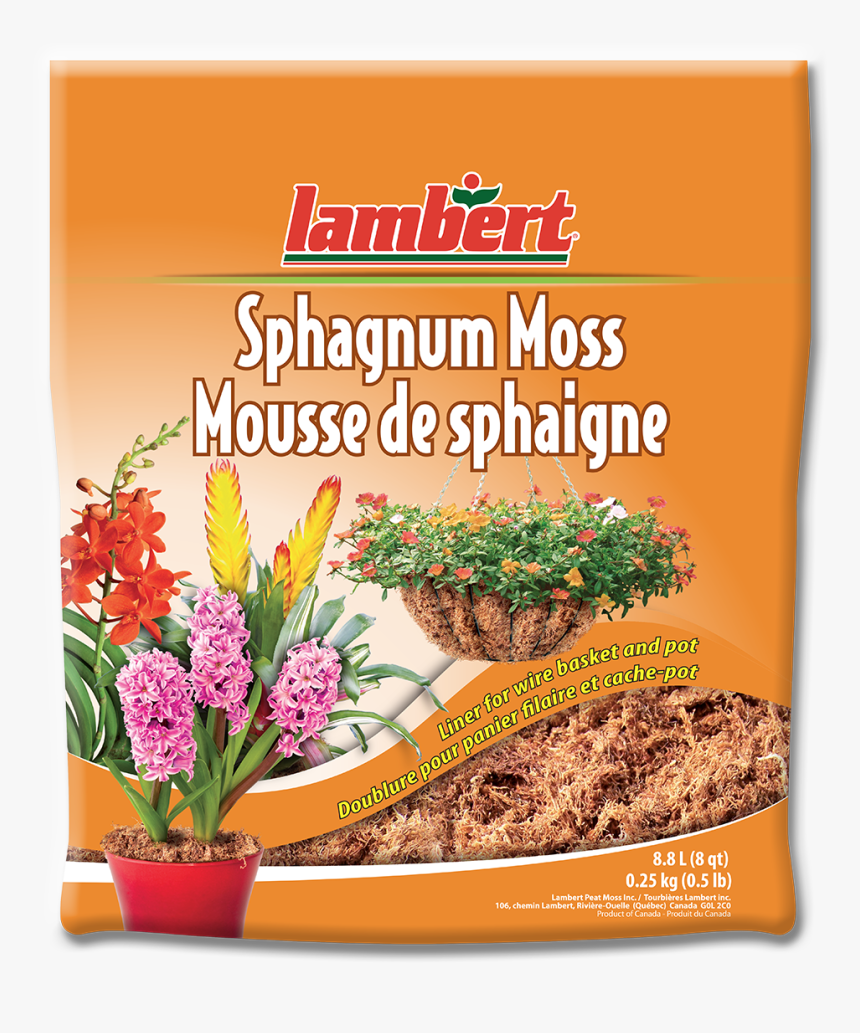 Mousse De Sphaigne, HD Png Download