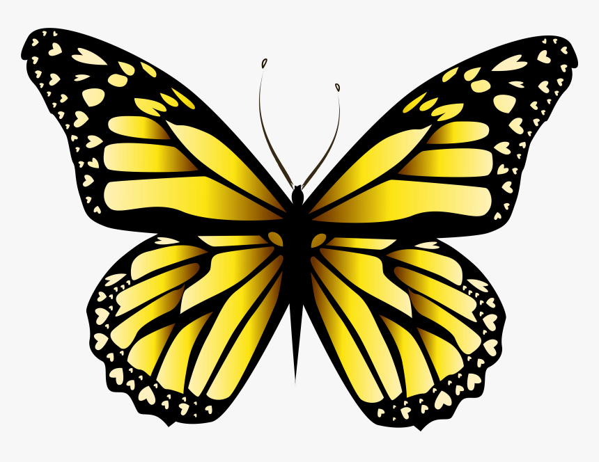 Yellow Butterfly Png - Butterfly Yellow Png, Transparent Png