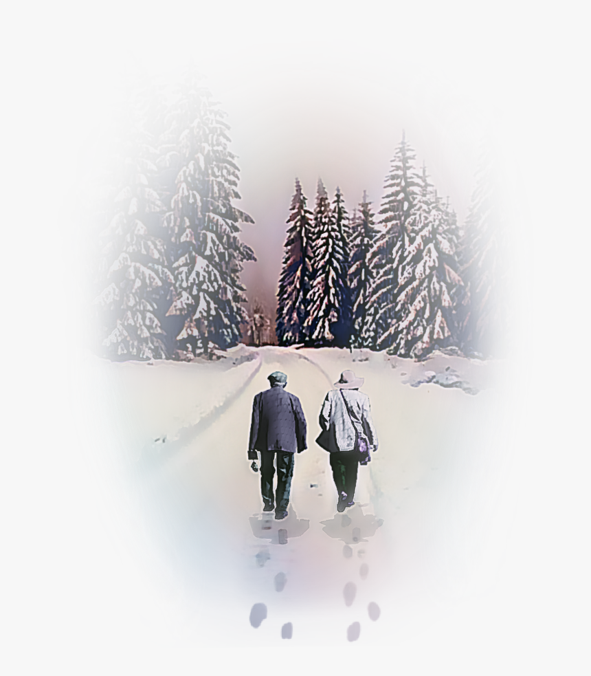 Snow, HD Png Download