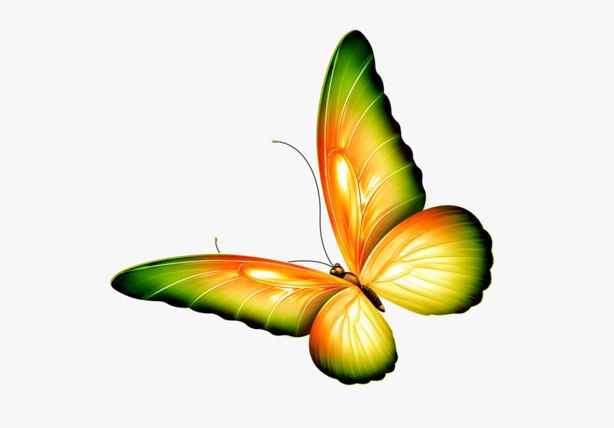 Butterfly Png Clipart Yellow And Green Transparent - Butterfly Clipart Transparent Background, Png Download