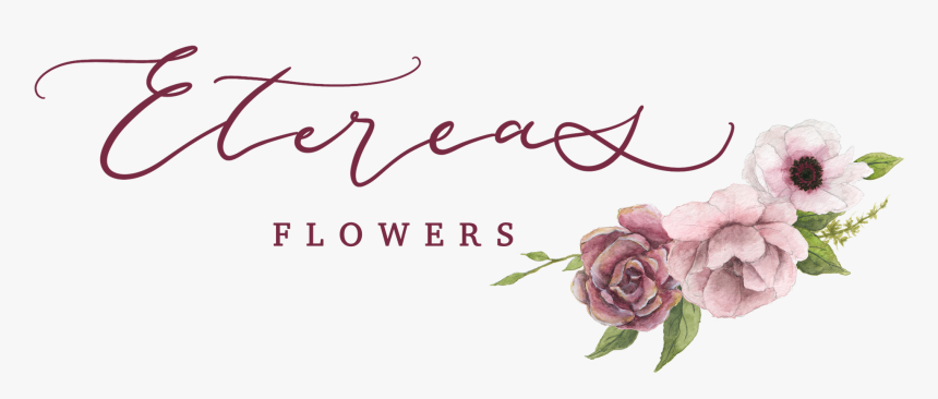 Garden Roses, HD Png Download