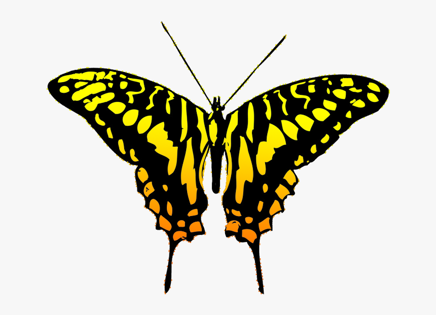 Banner Library Library Free Butterfly Clipart Black - Butterfly Transparent Design, HD Png Download