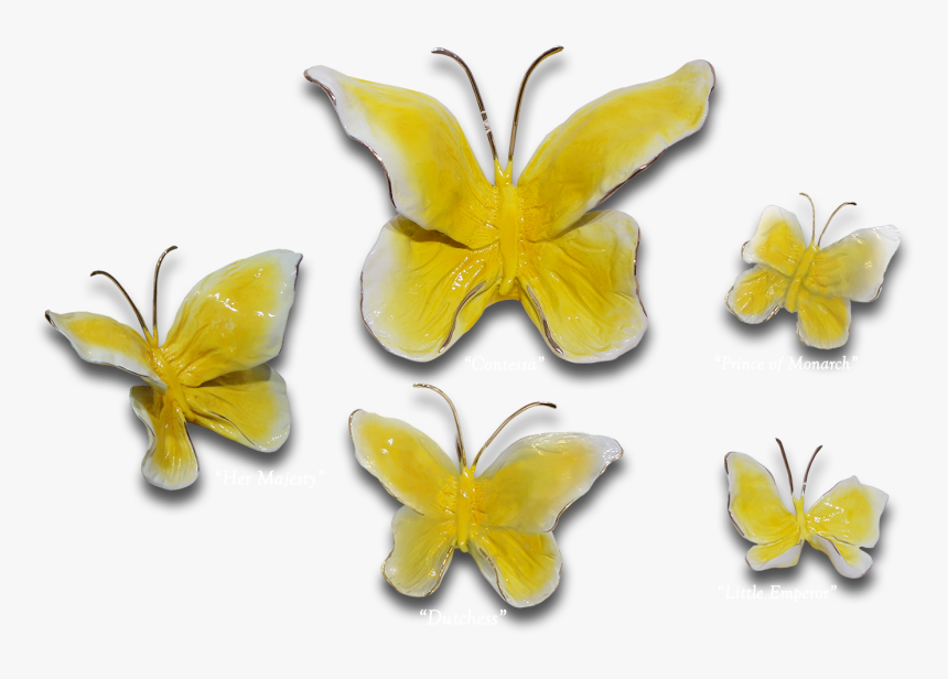“buttercup Butterflies” - Pieridae - Buttercup Butterfly, HD Png Download