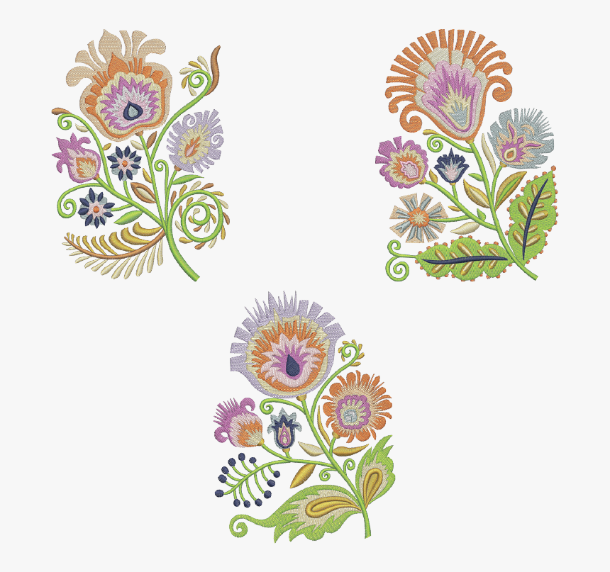 African Daisy, HD Png Download