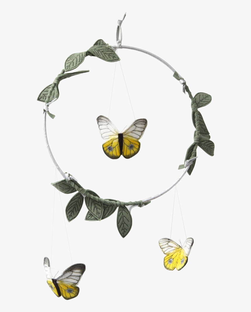 Moth, HD Png Download