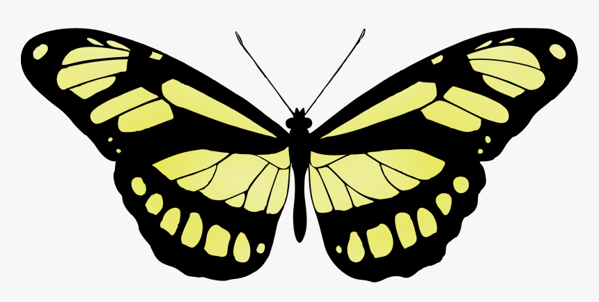 Butterfly 15 Clip Arts - Vintage Butterfly Images Free, HD Png Download