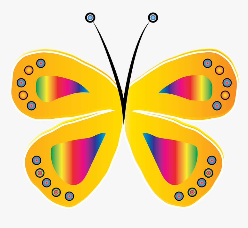 Butterfly, Yellow, Circle, Bright, Design, Insect - Borboleta Amarela E Rosa, HD Png Download
