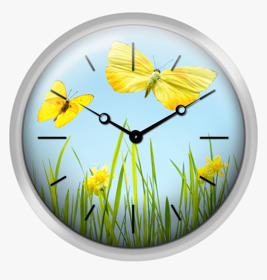 Yellow Butterflies With Grass And Daffodils - Texture Clock Png, Transparent Png