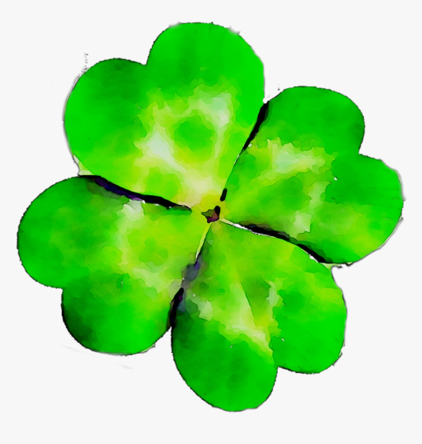 Png Download - Shamrock, Transparent Png