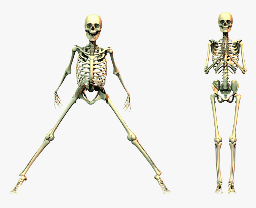 Spooky Skeleton Png - Spooky Skeleton Transparent Background, Png Download