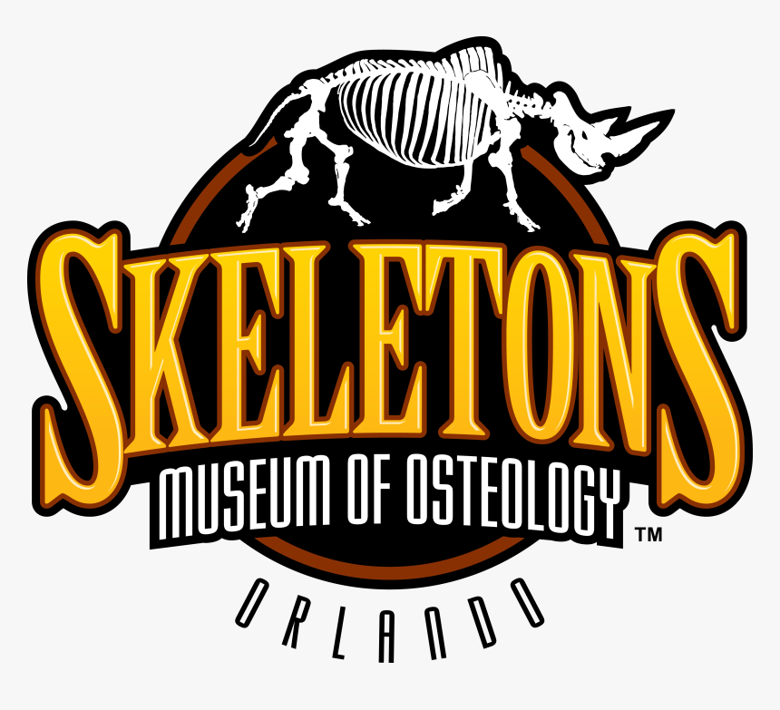 Skeletons Animals Unveiled, HD Png Download