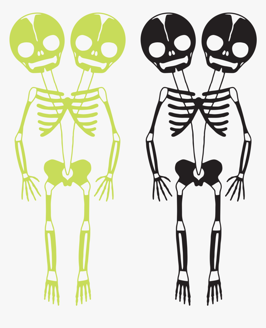 Skeletons, HD Png Download