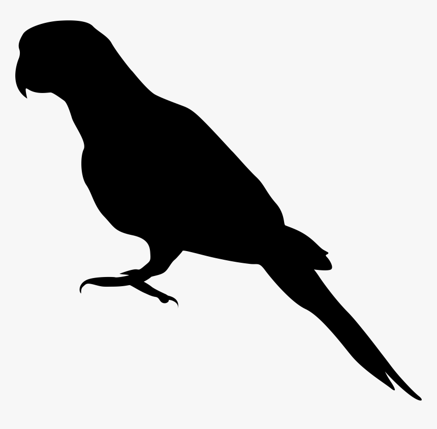 Clip Art Parrot Silhouette, HD Png Download