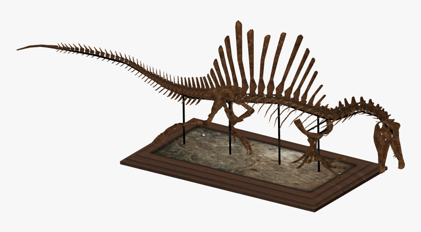 Zt2 Dinosaur Skeletons , Png Download - Lesothosaurus, Transparent Png