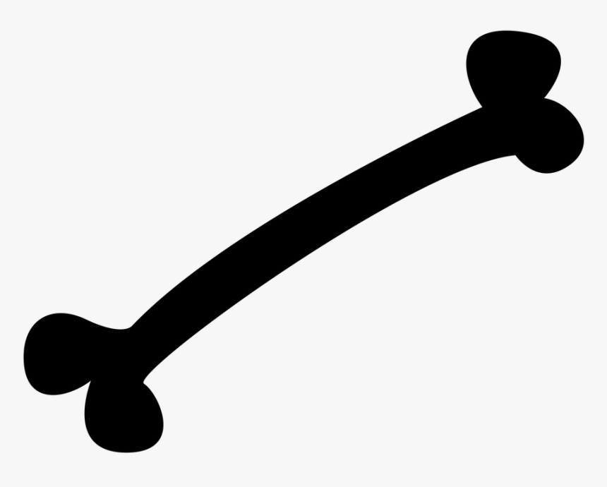 Bones, Skeleton, Form, Body, Bone - Huesos Png, Transparent Png