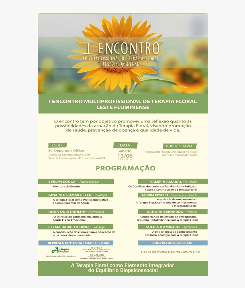 Sunflower, HD Png Download
