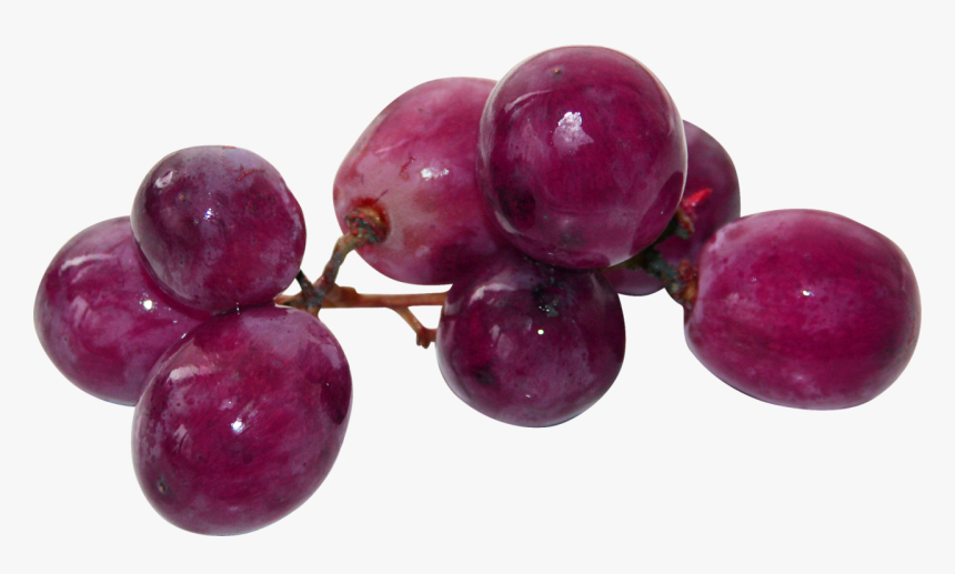 Transparent Png Tumblr Transparent Donut - Aesthetic Fruits Png, Png Download