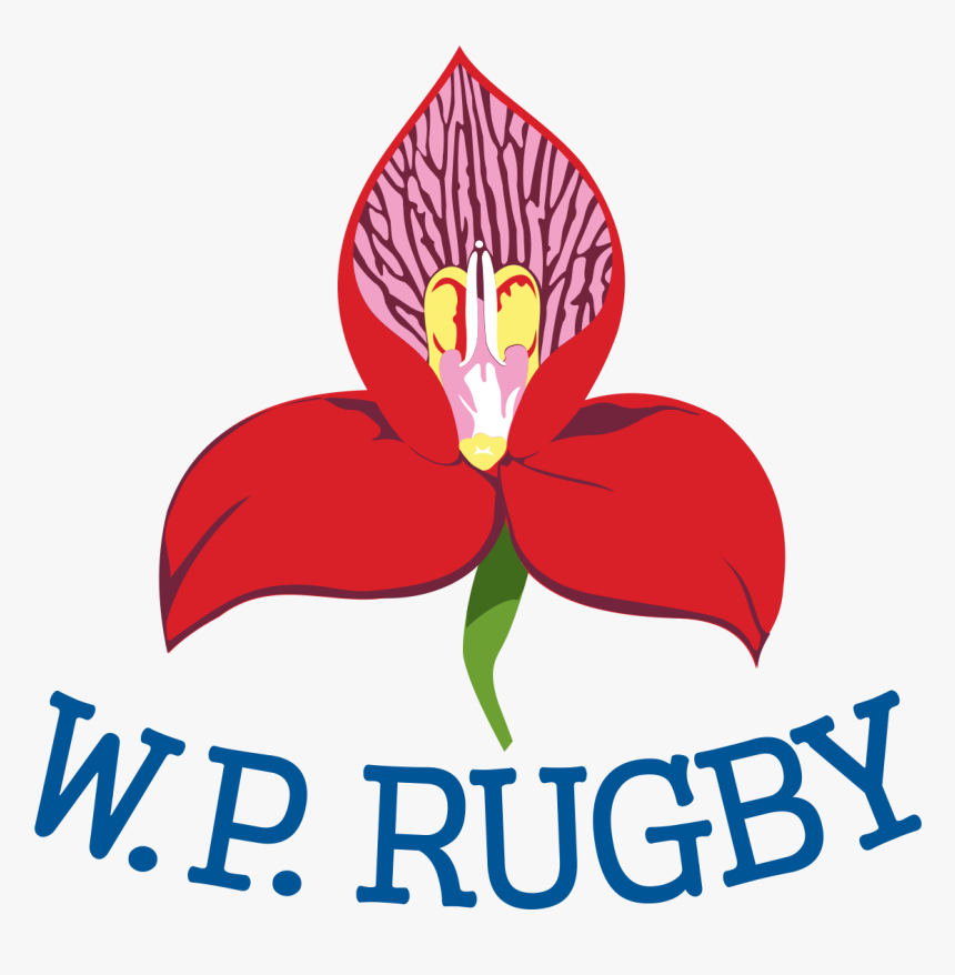 Bills Png, Transparent Png