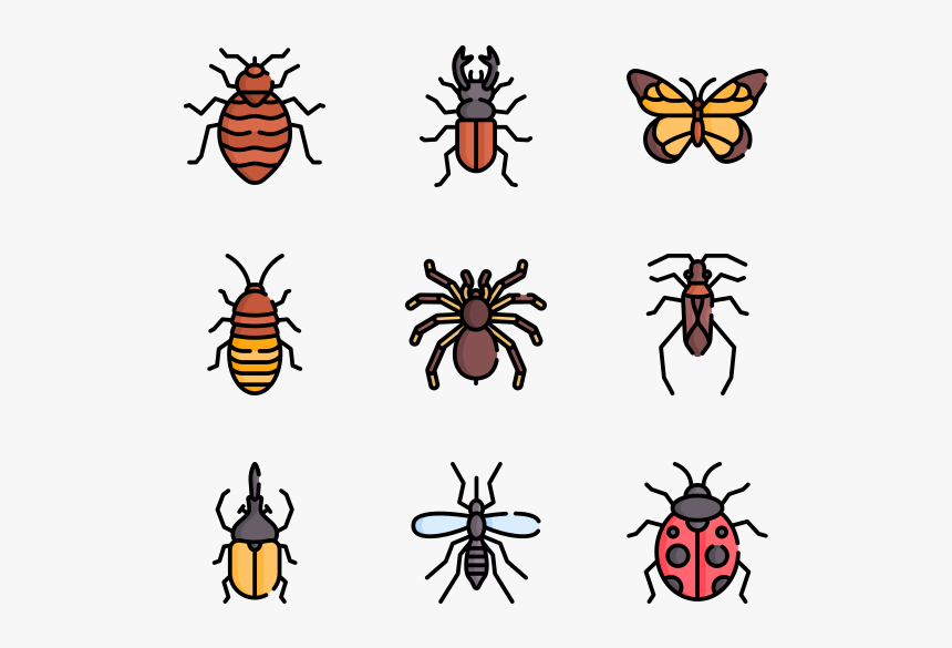 Beetle, HD Png Download