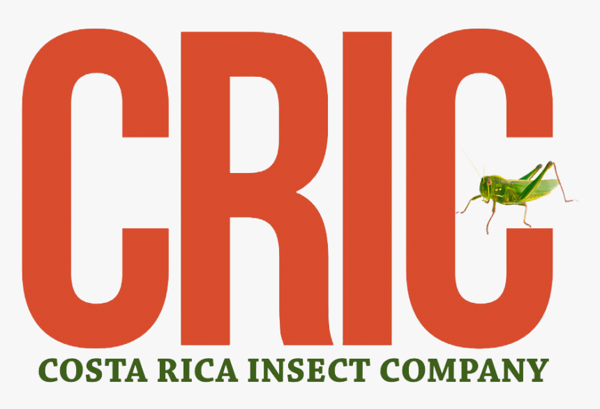 Costa Rica Insect Company, HD Png Download , Transparent Png Image ...