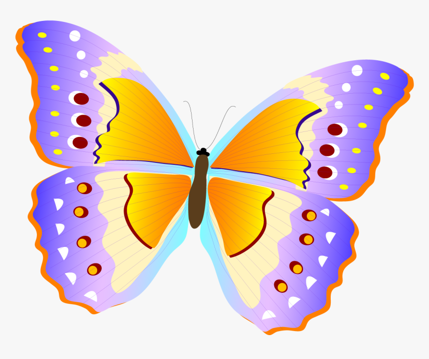 Pieridae, HD Png Download